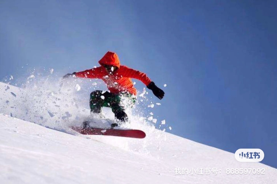 全日本雪票